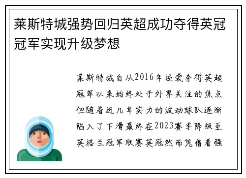 莱斯特城强势回归英超成功夺得英冠冠军实现升级梦想